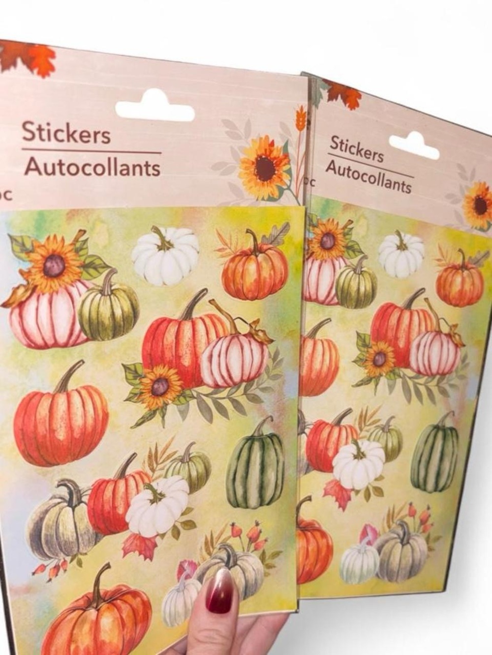 Vintage Pumpkin Autumn Sticker Sheets Set • Cozy Kawaii Fall Aesthetic